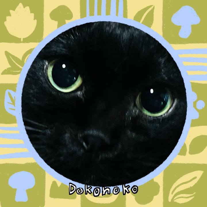 668d499f bf9a 45f9 a084 cc8816827c82 1761115091047