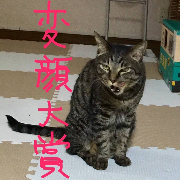 668da12e f803 4308 b230 ff8be29d1be7 1568521493758