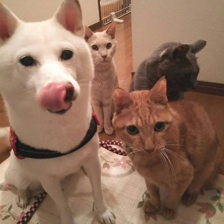 668dbe92 4eb9 4fd2 9c94 e58d433ee7e9 1600593910705