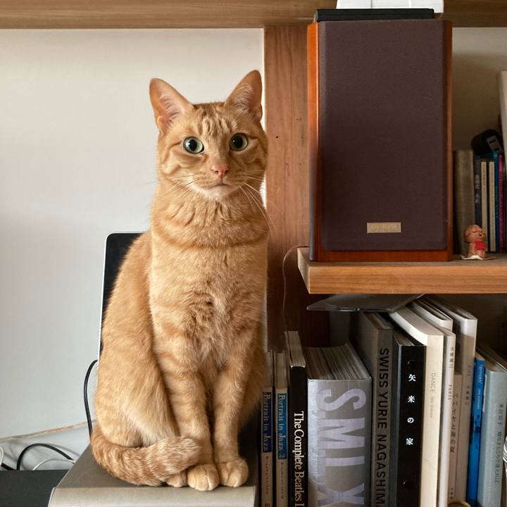 668dc575 aa44 4a6a ac26 966943f1b7e0 1617408875524