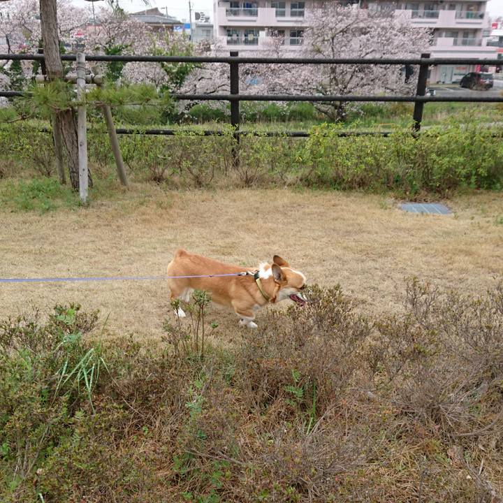 668dff33 5a7d 4dca a356 b9be53108bec 1585720104735