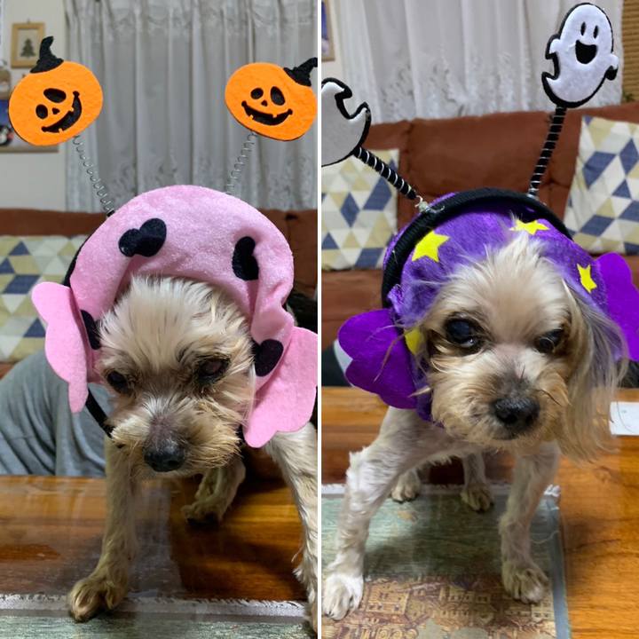 668e06c6 b7fe 4114 95d4 729566336a15 1698757747848