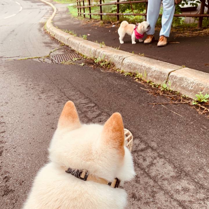 668e28b2 9e39 4273 bbca 6257f634f849 1565648101075