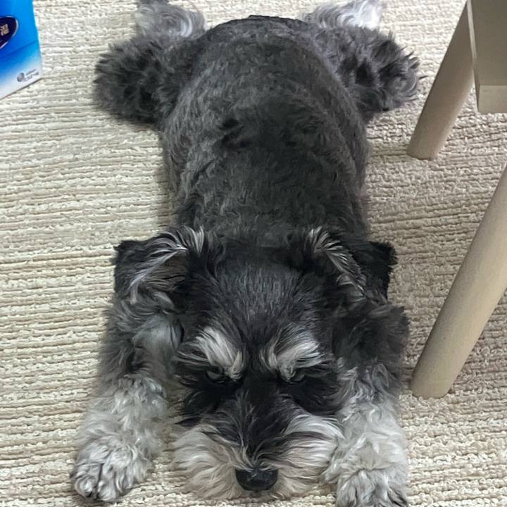 668e4d2e 4442 4b09 a667 b1d7920ba87c 1744512699891