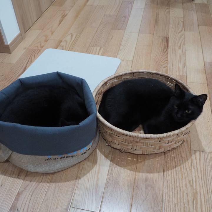 668e85e5 3d9b 4330 b318 5774e8f2736e 1536795793941