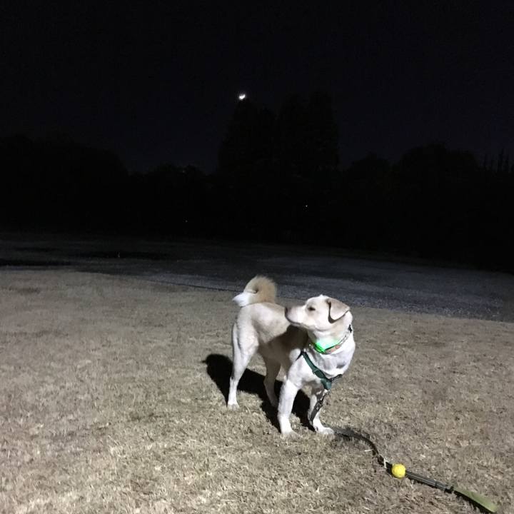 668e85ed c936 4f74 bcde ba59db92437e 1516443564991