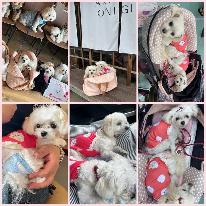 668e8bb8 e4cf 46b9 9b83 14dca1950a7b 1719745892010