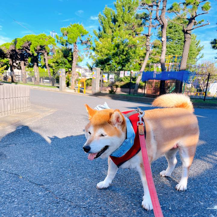 668ea393 d29a 4f09 959d eec0d7fbfcd5 1722292390202