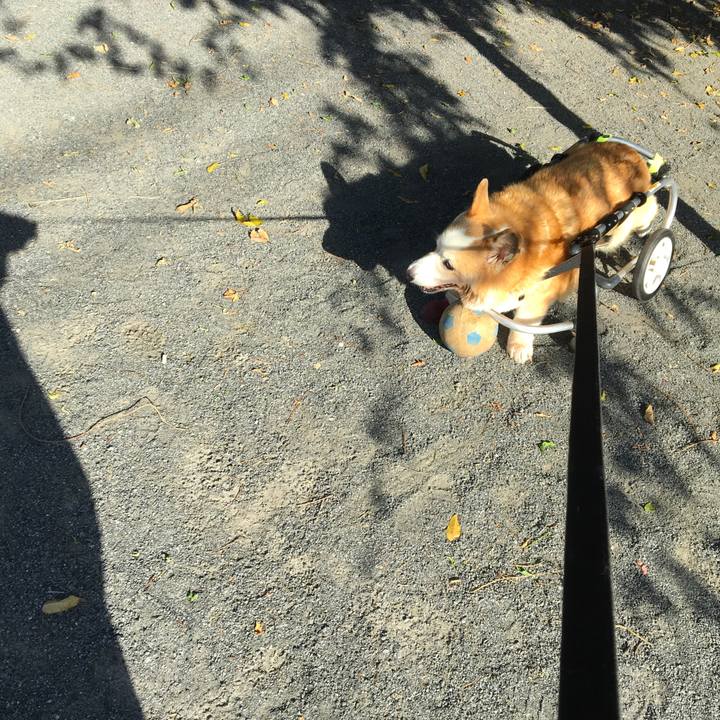 668ea6eb ec3e 42d2 8653 3897535a14aa 1570665163773