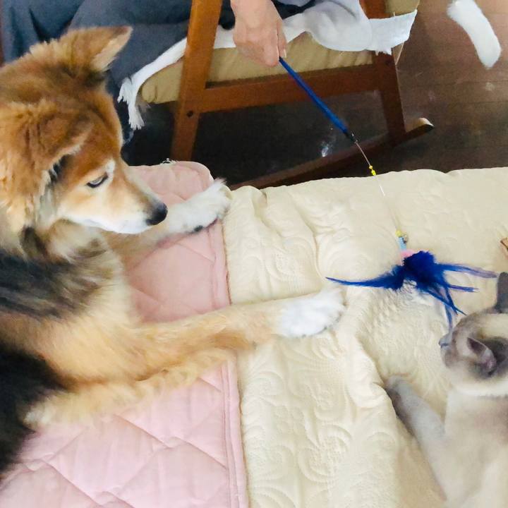 668eca30 acec 4497 8138 172c65527d91 1593245088239