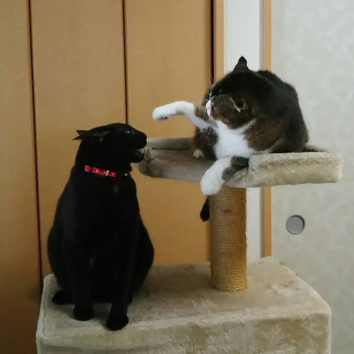 668eea7d 433a 4416 a4e9 9effa0f51c67 1538958582878