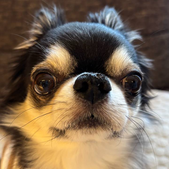 668f05e8 0fe4 4bb1 8c50 9a6cacd9a4cf 1743810666220