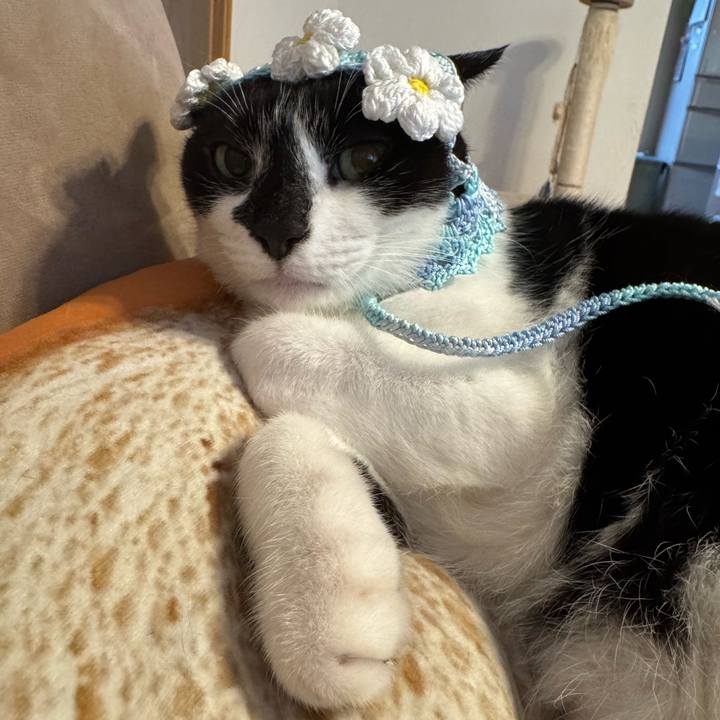 668f07a3 963e 414a a4e9 d29621e2b8cf 1771822570905