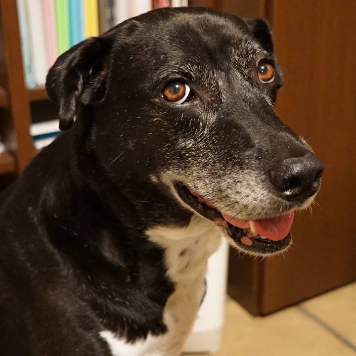 668f0dec 88d8 4ac2 a44d 6312b960ef3d 1757502240408