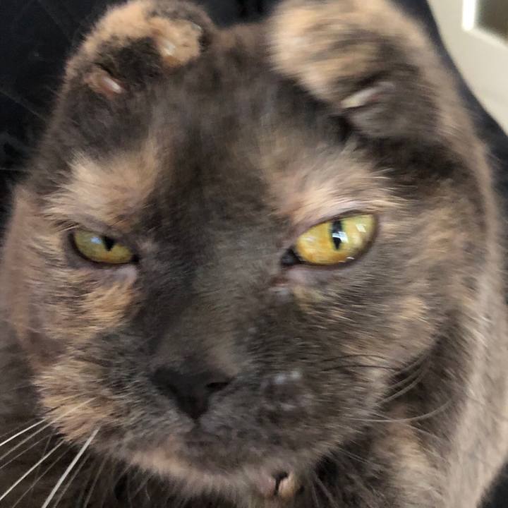 668f1527 e84a 4851 a266 d93f2d298dd5 1540710728108