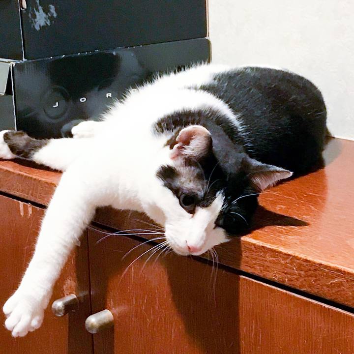 668f29a0 f476 4ee7 8f82 5d3030f5b4fd 1525743637717