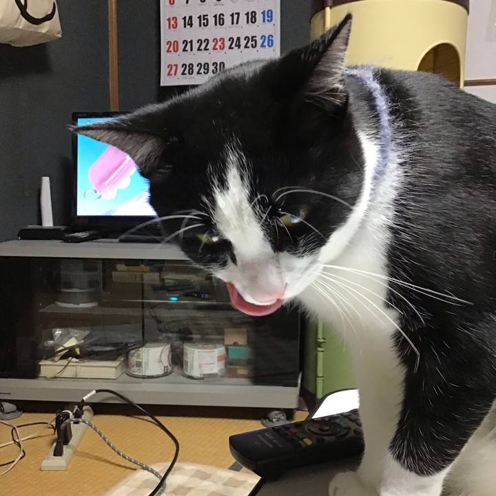 668f47ab 27b9 4943 aad4 01e5eff73338 1669715918896