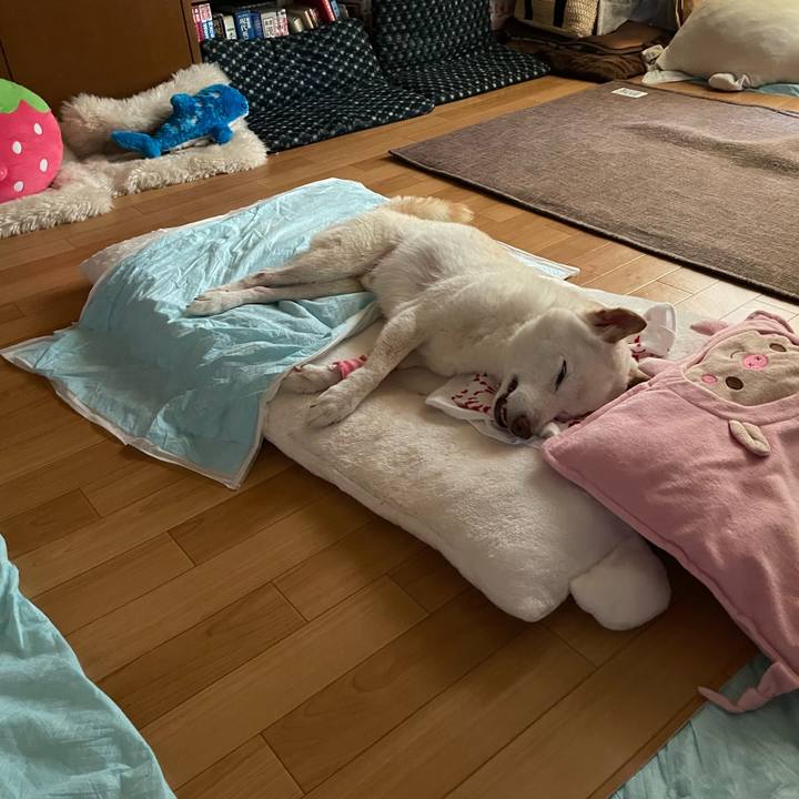 668f5bd7 9b90 45e1 bb57 e98de9d5b8d5 1664841386547