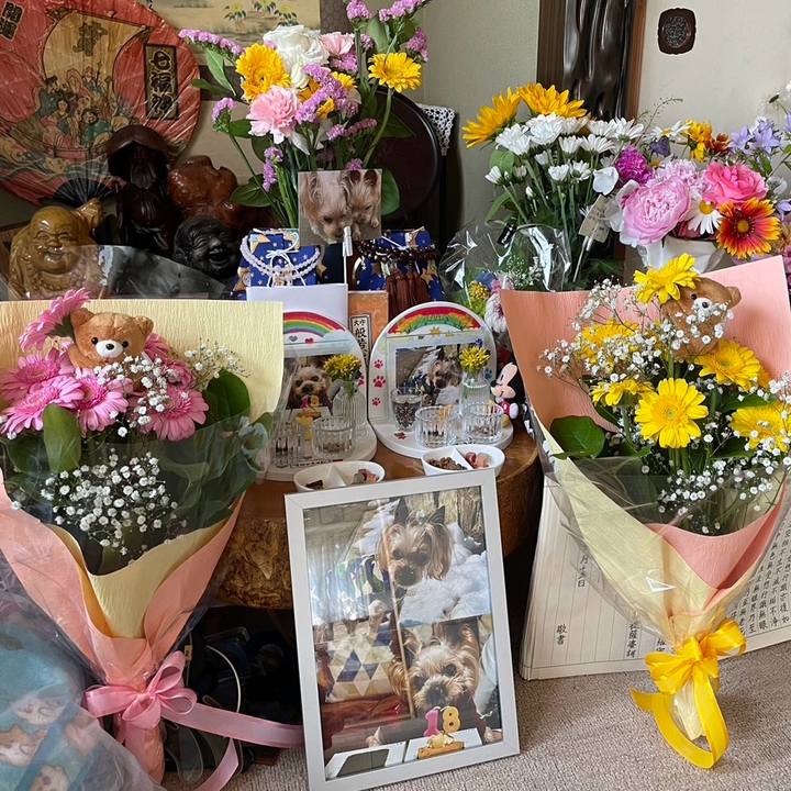 668fd7f3 7773 4764 9cac 7babb603bb26 1718439979096