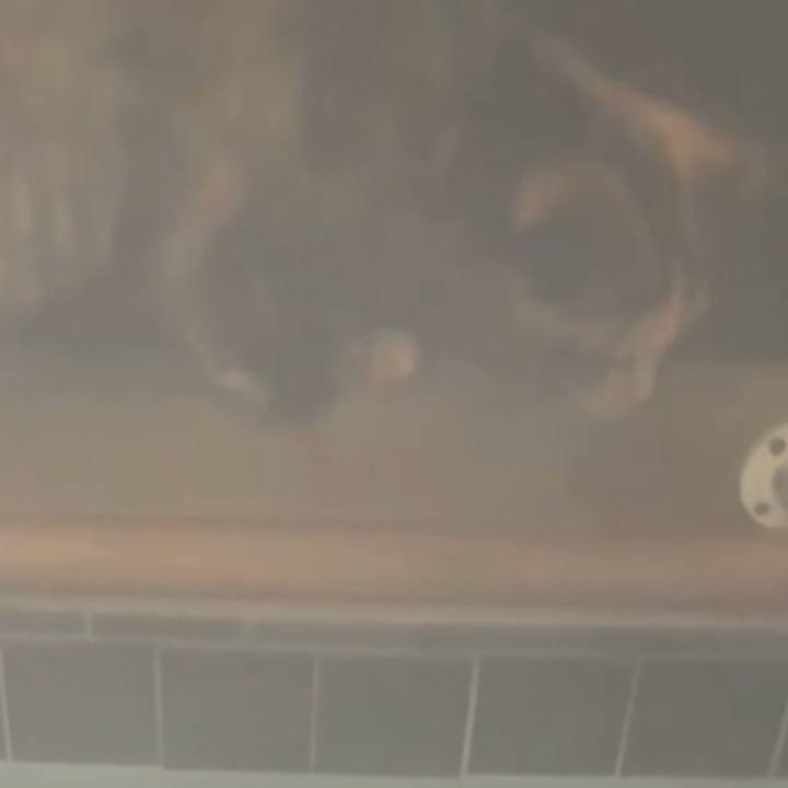 668ff029 0400 4ecf 8823 0279241e37a7 1767038756462