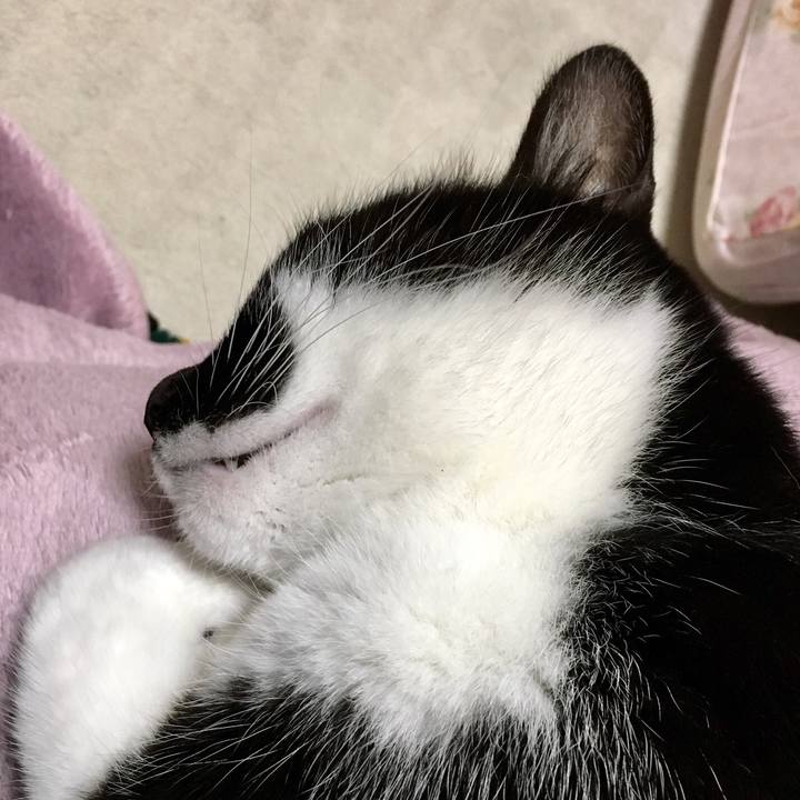 668ff206 0255 41cb 98ed 52437747fe3c 1518522027814