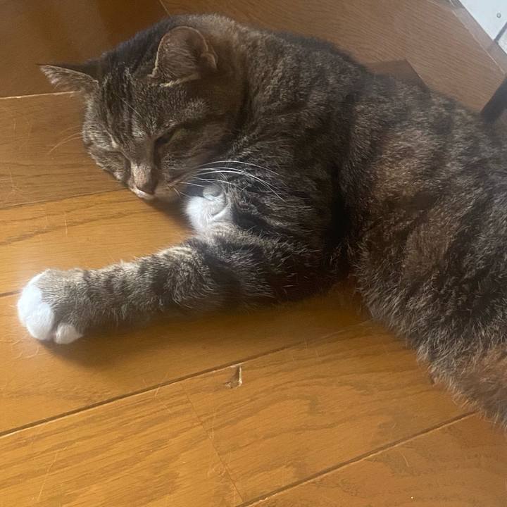 668ff75d 833f 464d b232 d4164d8531d4 1755725760521