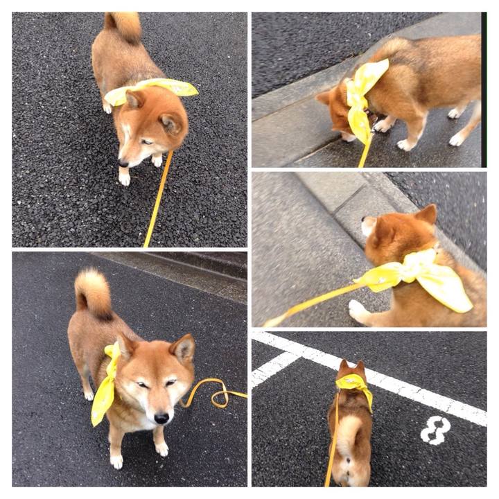 669045d4 efa8 4ca2 87bf 0ccbc8151827 1521680136787