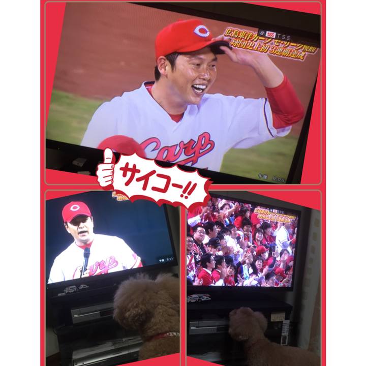 6690d220 36ce 4562 a17e 6b3a2fff5db5 1537964233568