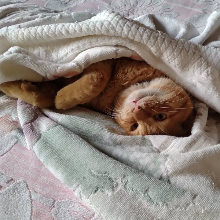 6690f29c 71cd 4138 94ec 79a49c1e2fc5 1693184741800