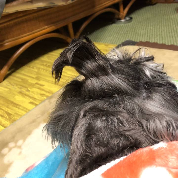 669158d8 3cba 4aa9 ae01 77b62af9612d 1514859014480