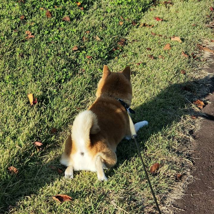 66917249 03c2 4990 ab1a 6cb5c575792f 1667368111851