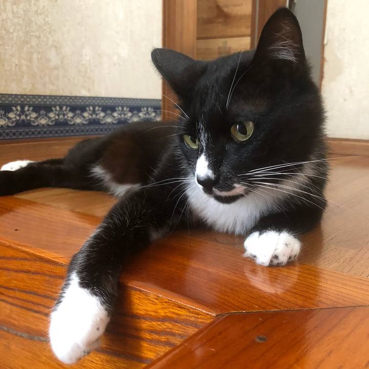 669184cb 6b3c 466a b891 0e513458ef68 1660707322478