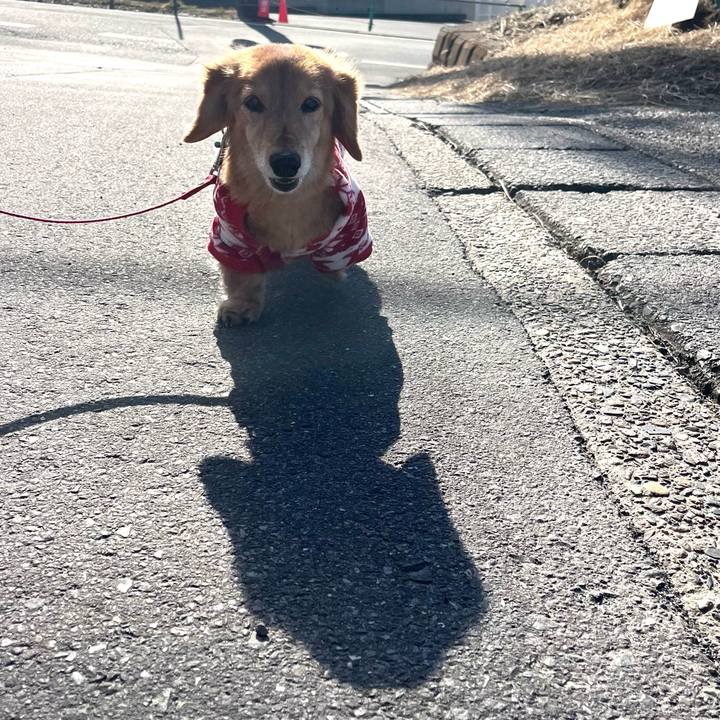 6691dd1c 1d9e 437f b3e9 abe3237444cb 1645613578032