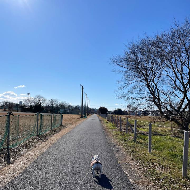 6691e4e3 382c 46a0 a7f0 ccd64d743d6b 1736375745008