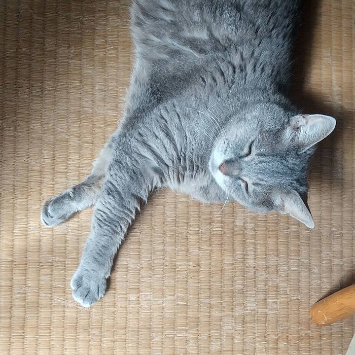 6691e58c 5007 4079 8c95 a4aa9fdcb3f8 1659054470338