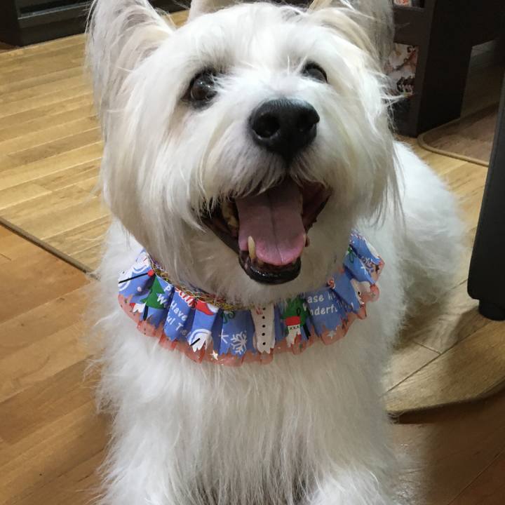 6691eac4 0d9e 4122 b0d9 c258411a74f2 1638632430523