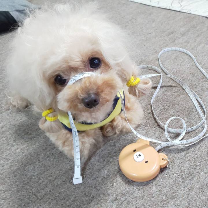 6691f6f8 55f8 4782 ae14 d71e2fa1db85 1590066914055