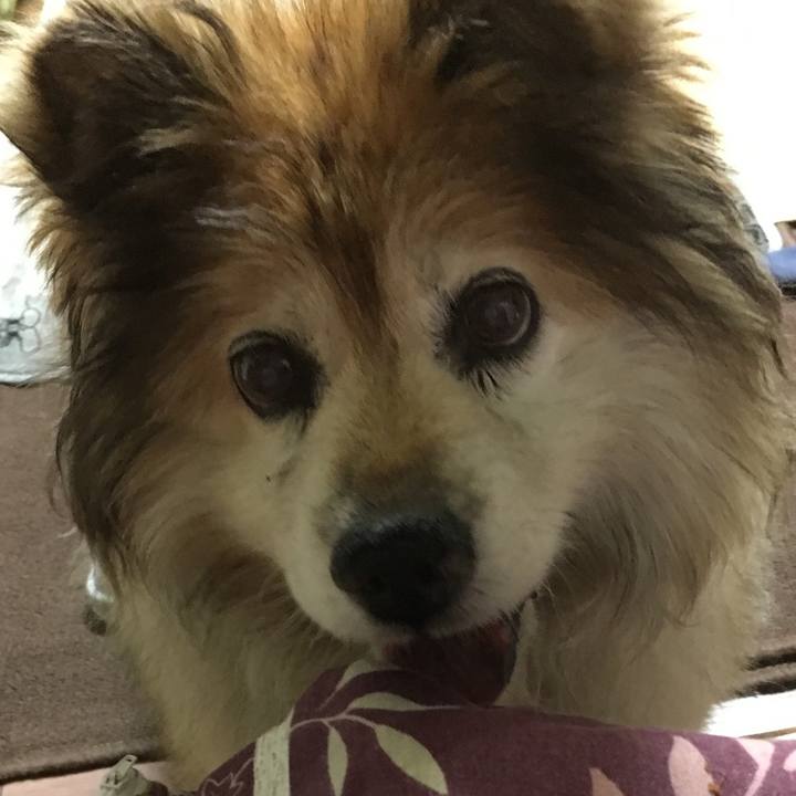 66920977 b1e5 4a14 9cfe 90f047dbf556 1606034905036