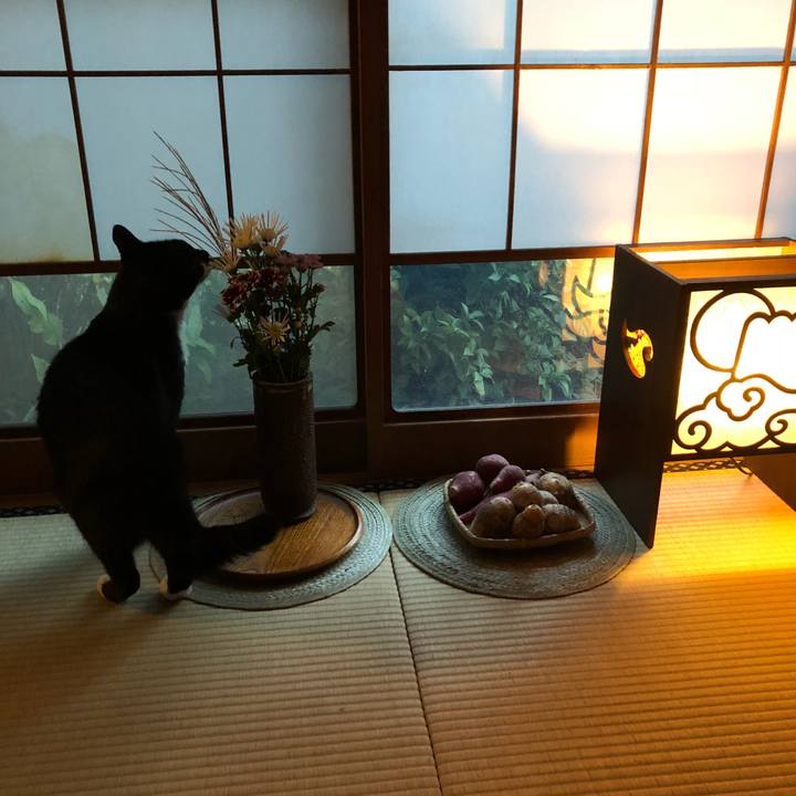 66922722 46da 4d6e 93d0 3296ed574969 1540110663763