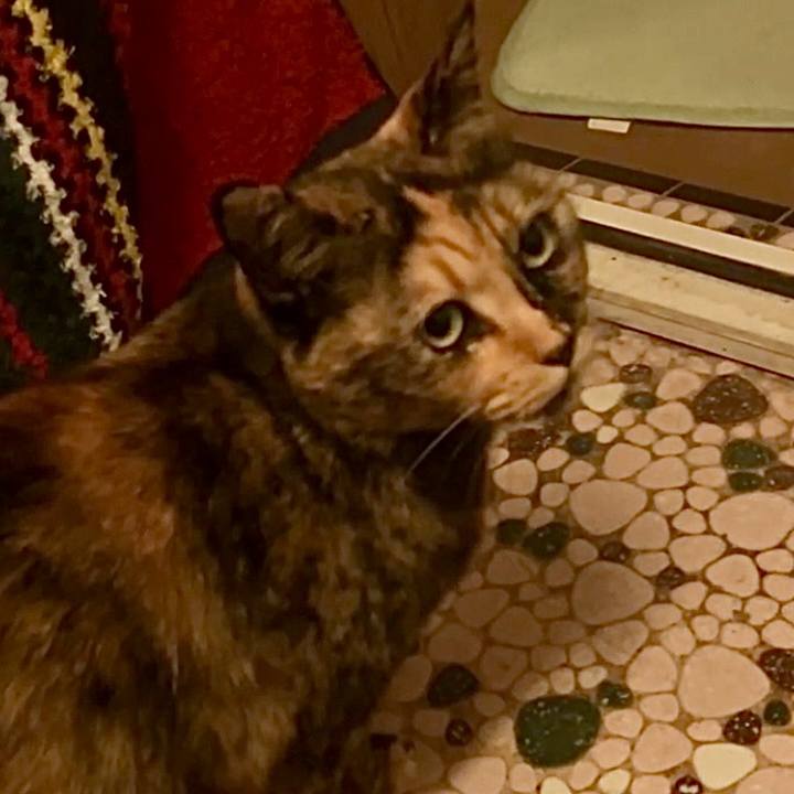 66922824 f046 49b5 a7ec 19cbc3c82c36 1732814550037