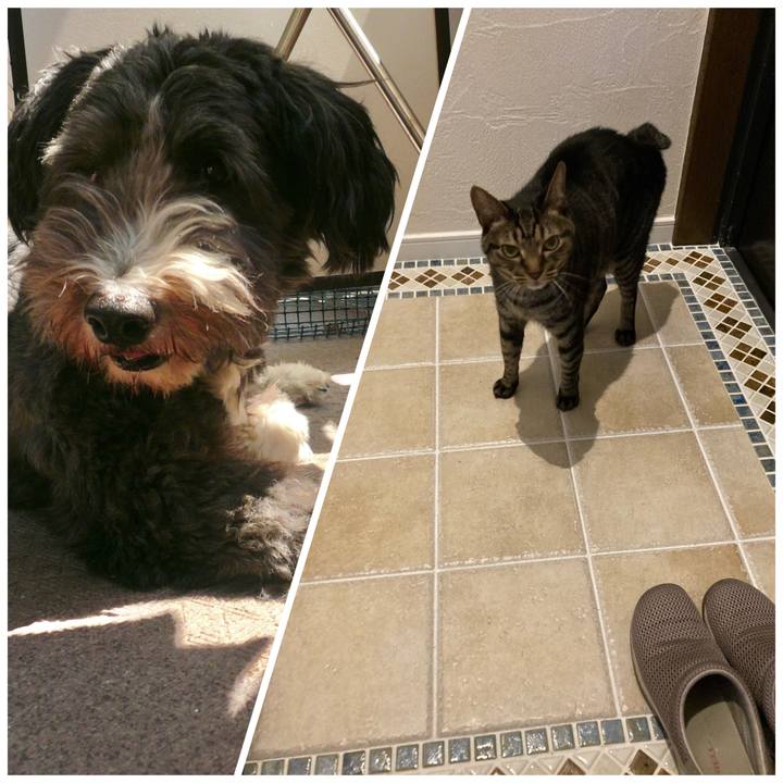 669229d4 92fb 4e86 8579 7a44deb7bf60 1660272616380