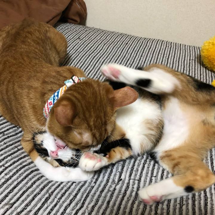 66926c34 d08f 4bf9 924f 7ffe649848bd 1560597629174