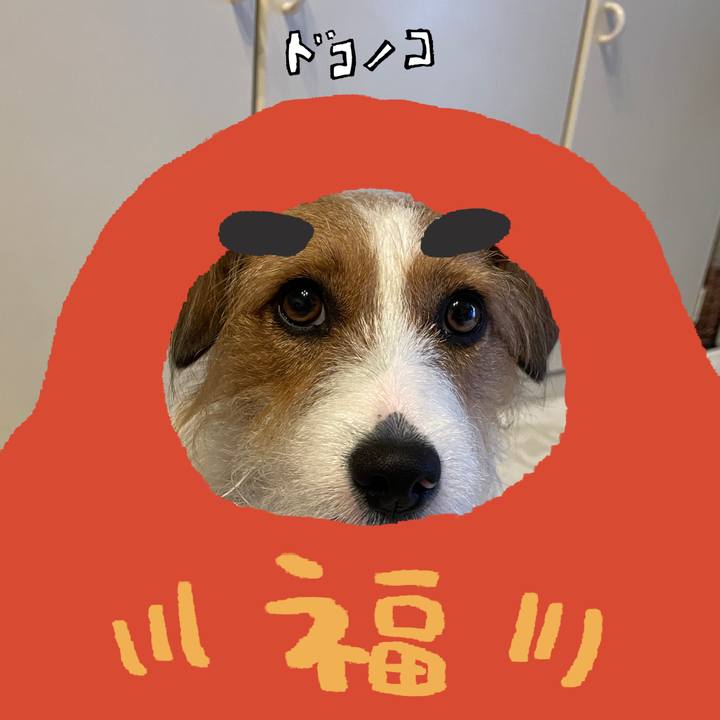 6692886a 7c01 499d a51f ed7d16fa5e93 1771889015790