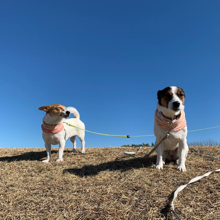 6692b5d2 7c7b 40e9 aa4e 9a5d46d11816 1611988746250