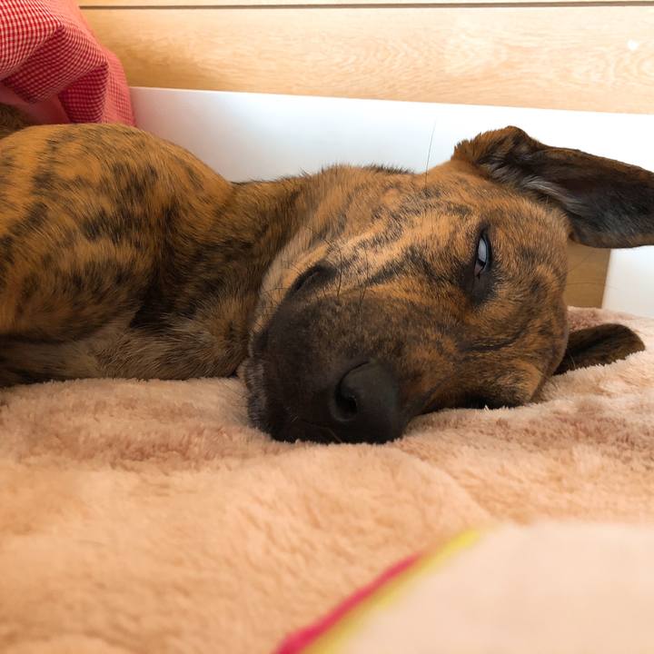 6692e2ff 08b3 4721 915d d1146c4f1741 1586908539859