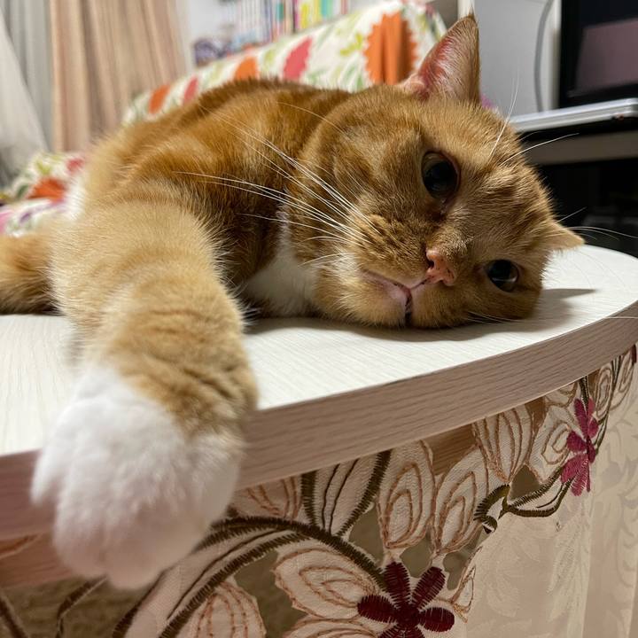 669338ec c04c 4ab8 8fed 6e361cce12e7 1663853985592