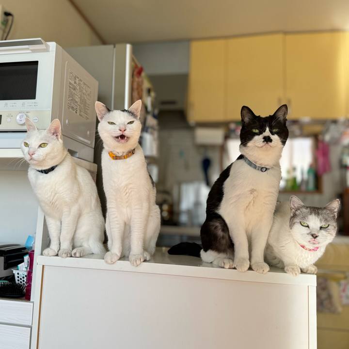 66935d29 e2e1 4236 a71c 124f2c753940 1732580913585