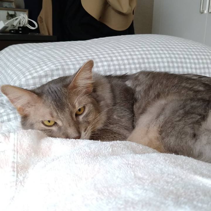 66936b8f 5bca 4e6e bb0f a5a99b4bb0df 1623491556149