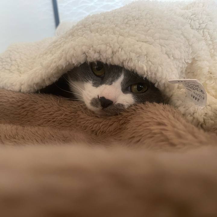 6693a410 8481 40fb a6b4 7b23b3b6a90f 1680998596951