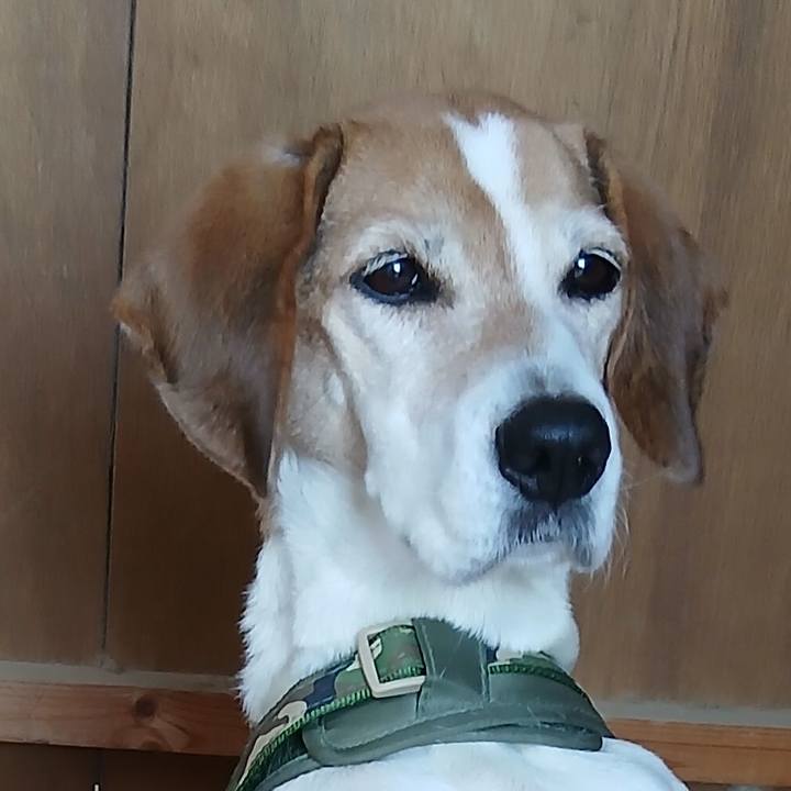 6693e21b 6339 440d 95e3 97c0f62e8532 1768652047666